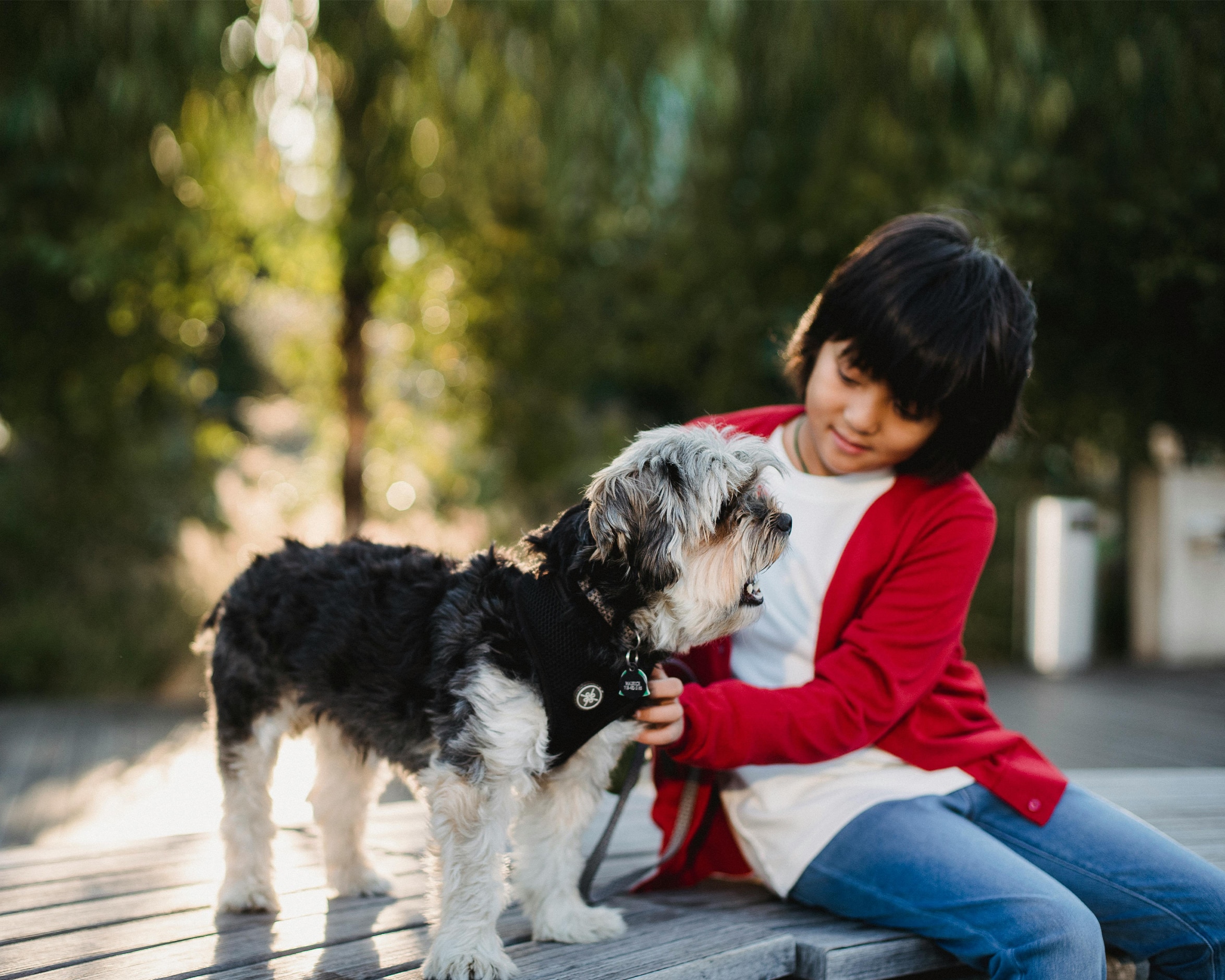 Pets as therapy