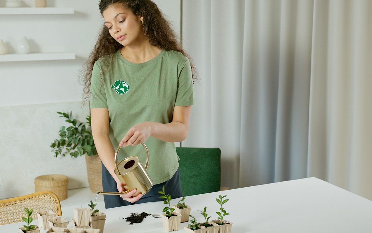 4 ways to care for your indoor plants in autumn