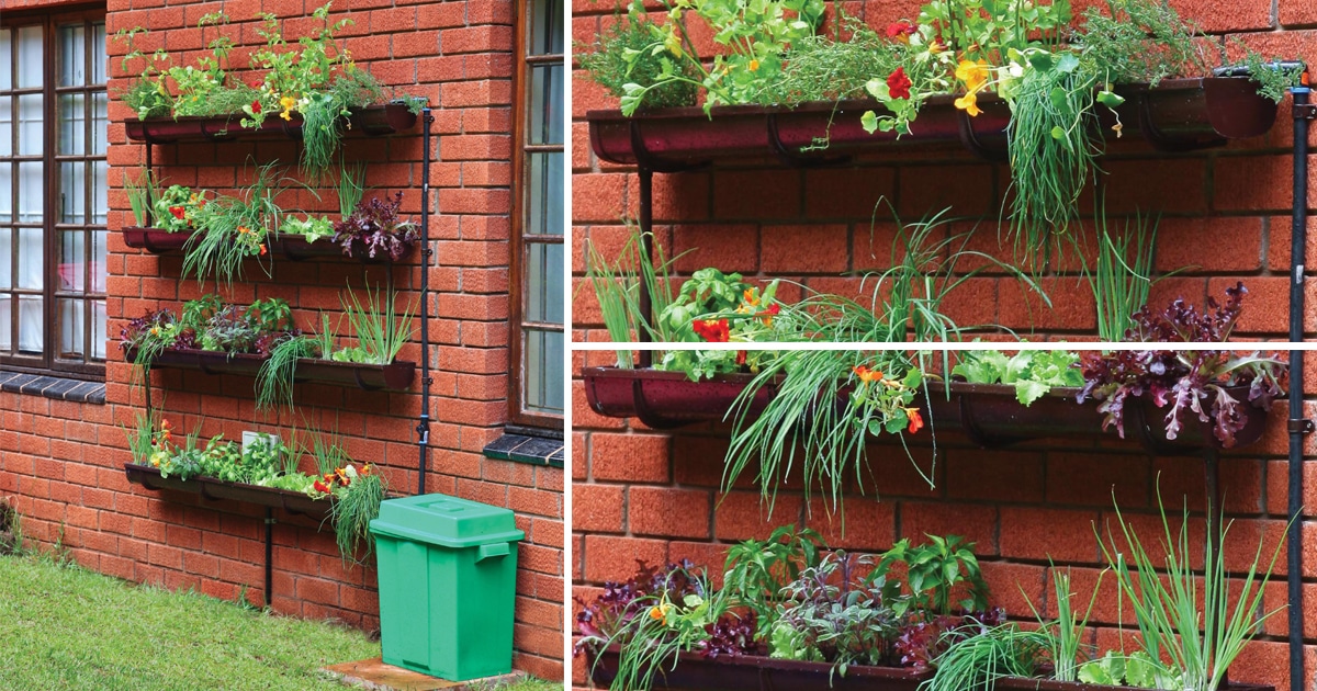 Build your own gutter garden in 10 easy steps