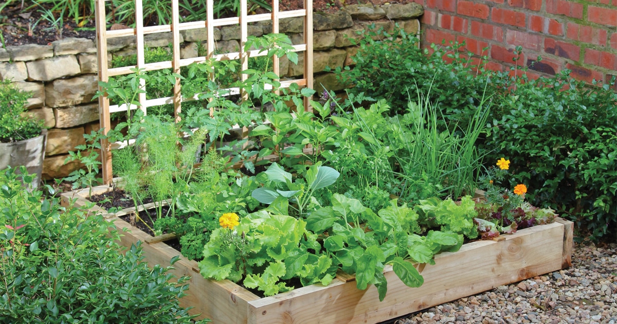 Make a square foot garden