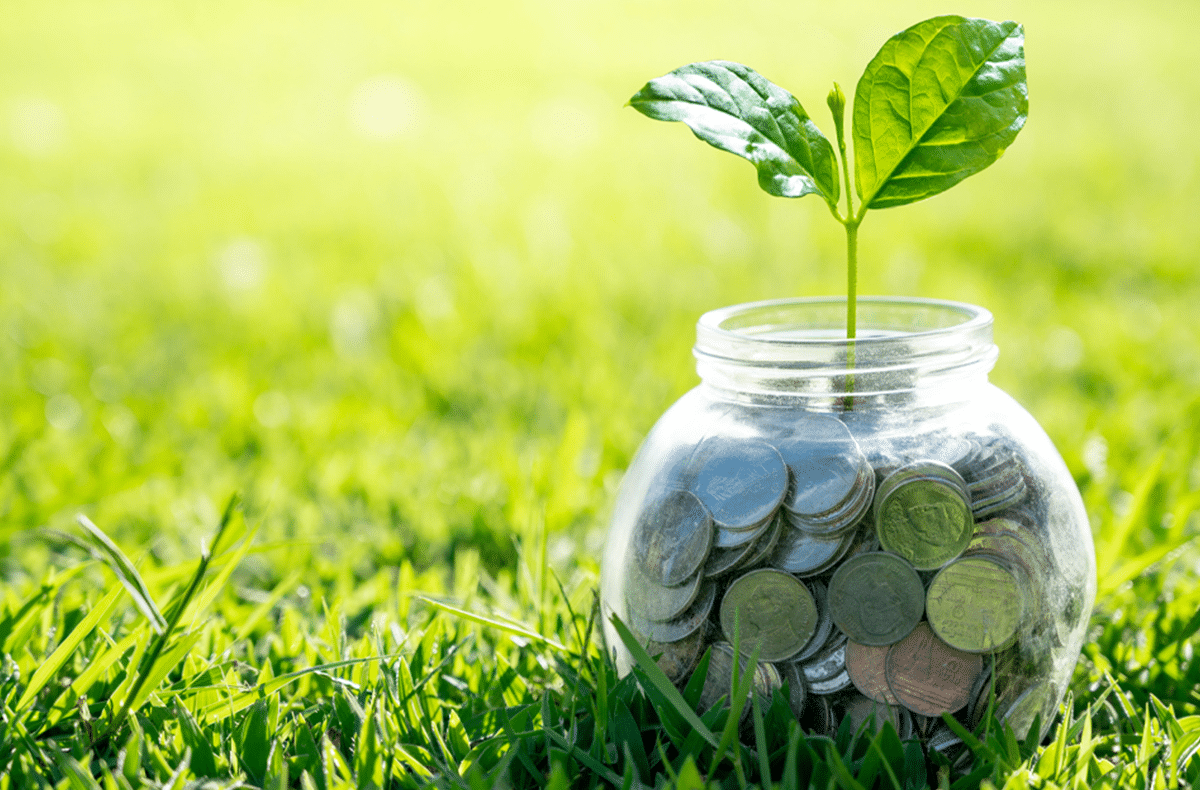 Understanding the difference between saving and investing