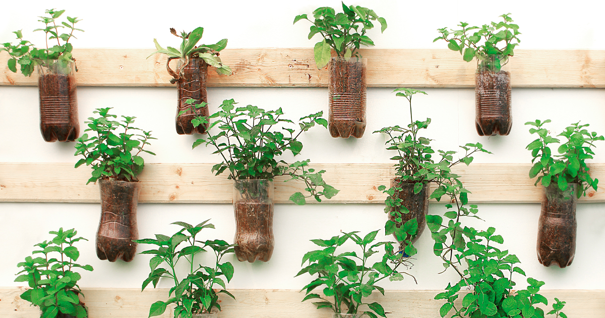 How to plant a vertical garden