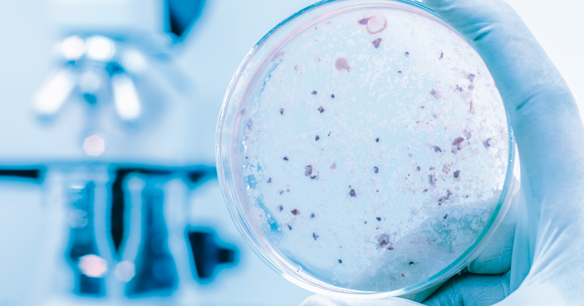 Tuberculosis – Beating a killer