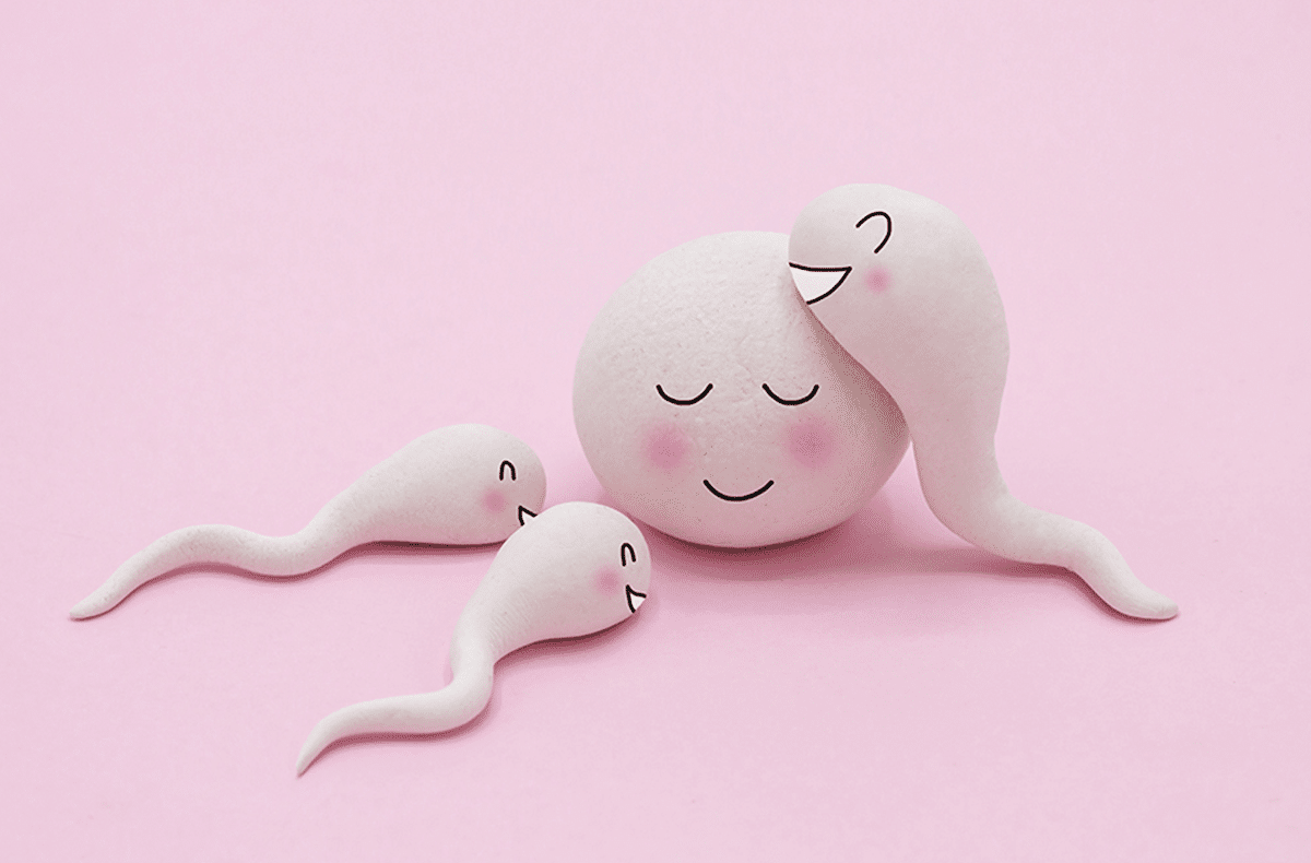 Fertility insurance – What is it, and why consider it?