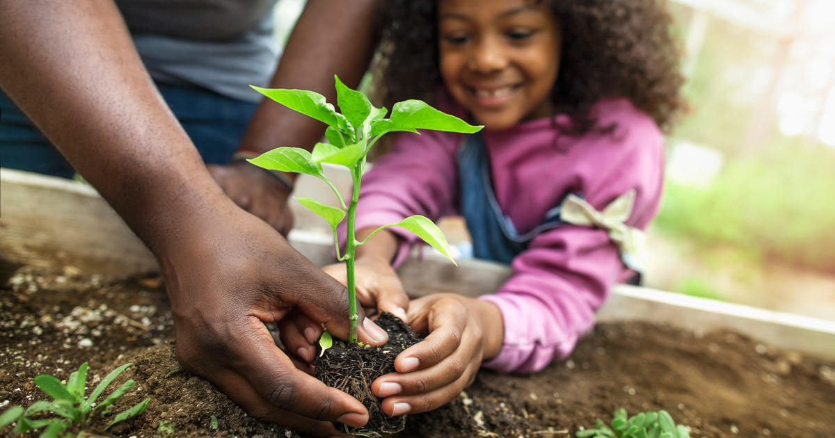 Garden for your mental and physical health