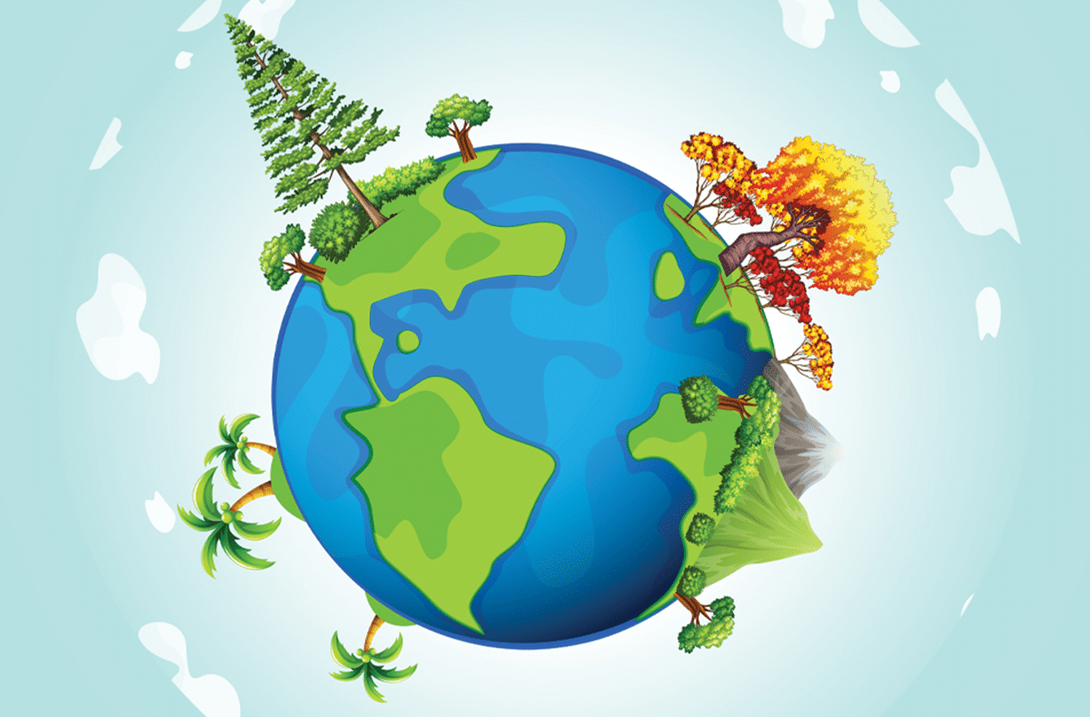 How to save our ozone and protect the environment