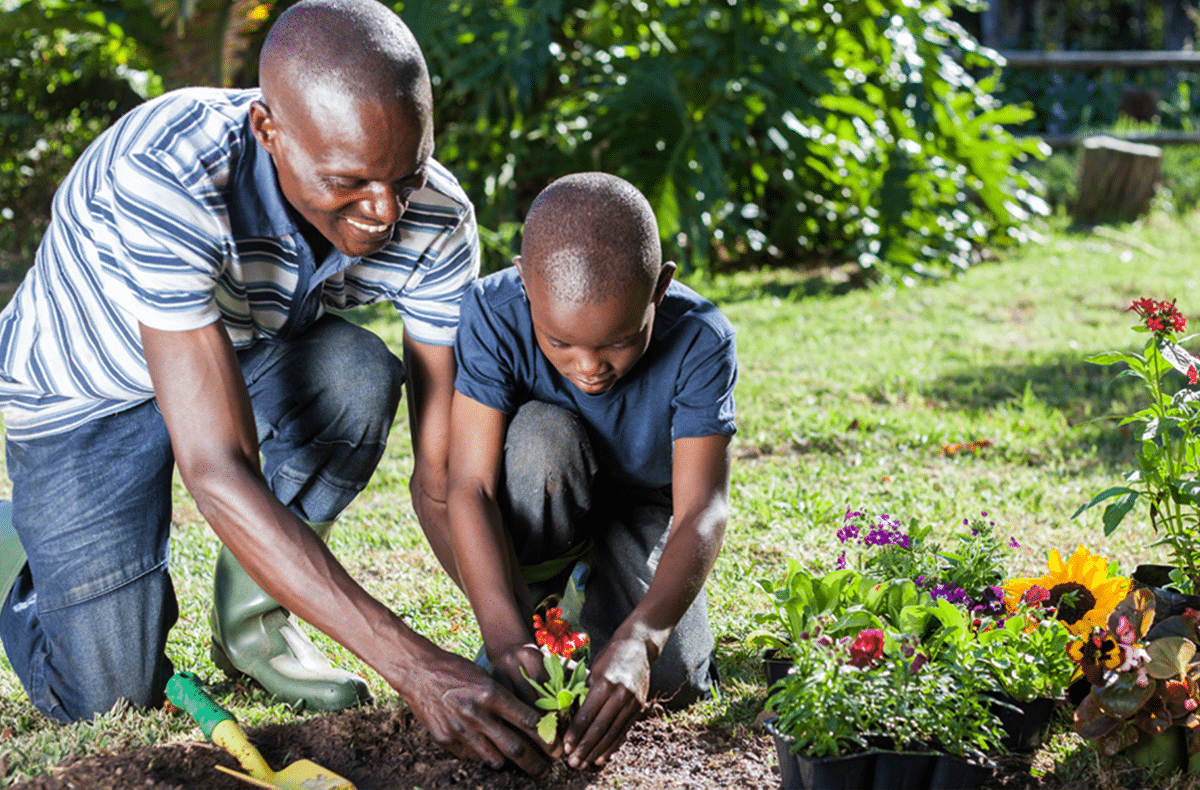 How to grow a bean stalk with your child